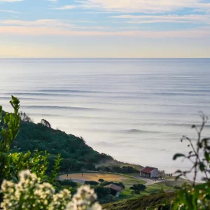 P A R A D I S E - Tableau