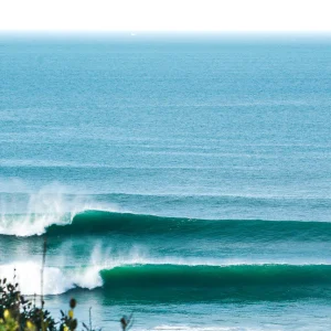 Empty Line-up - Poster