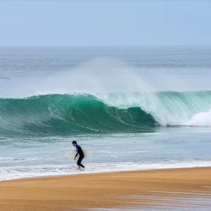 Good wave, wrong board - Poster