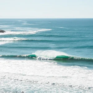 Hawaïanglet - Tableau