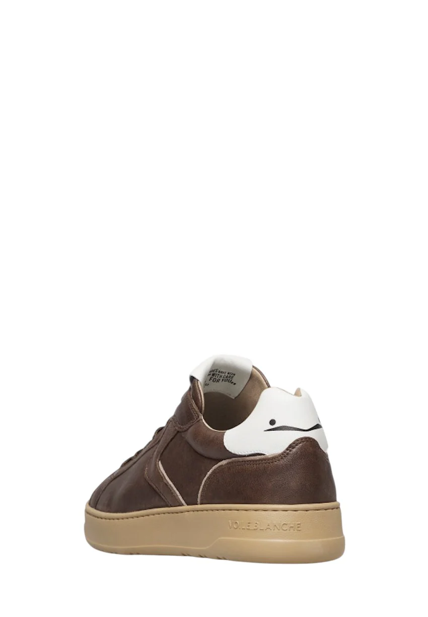 Voile Blanche Hommes chaussures de sport hommes marron foncé LAYTON – Image 5