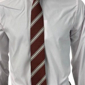 Corneliani Cravate Hommes plongeurs