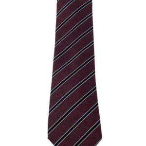 Corneliani Cravate Hommes plongeurs