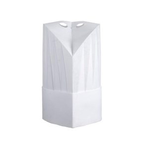 Toque papier (Lot de 10)